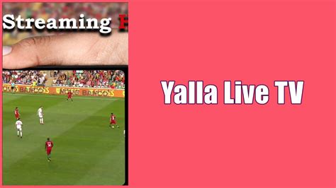 www yalla live tv